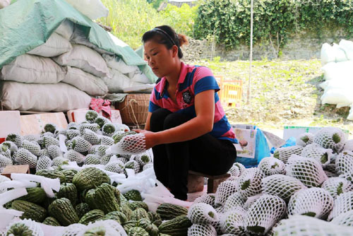 �����ڰ��ز����ӹ����Ȳ��ƽ�