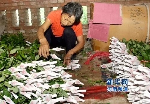 ׯǰׯ廨ֲأũõ廨