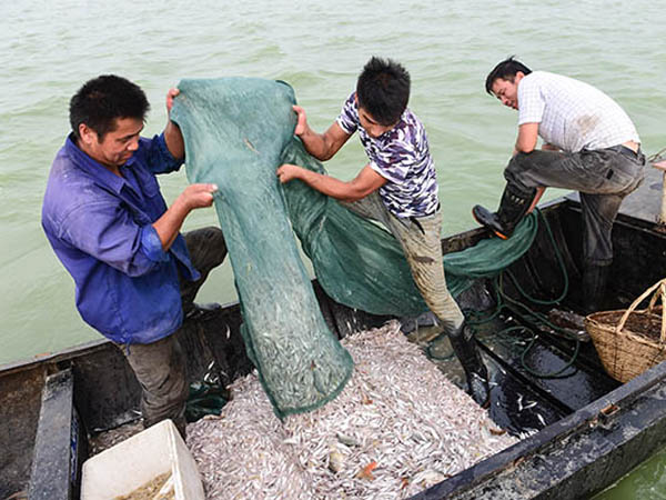 815գڰճϣԺϷǽֵʩ⡢ſңë㵹ڴϡ