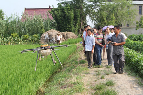 ������ͨũ���ϡ����˻���