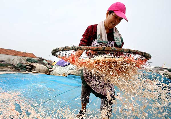 ½ËÕÁ¬ÔƸ۽øÈëϺƤÊÕ»ñ¼¾