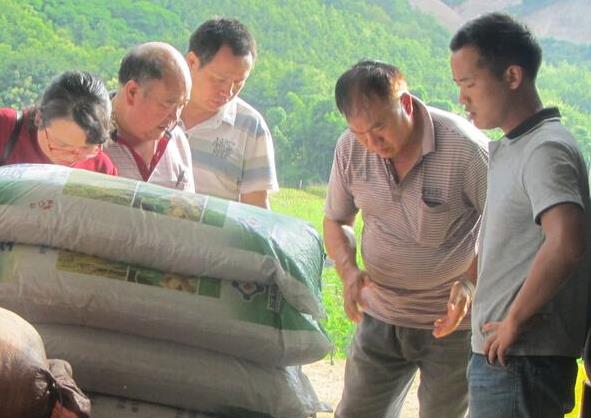 ���������ؿ�չ2015���޹���ũ��Ʒ��֤�ֳ���鹤��