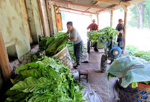 ���Ϸ������嵳����ʵץ�ÿ��̲ɿ�����