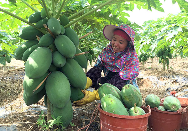 ������ɽ��ľ�Ϲ�ģ����ֲ����ϲ�����