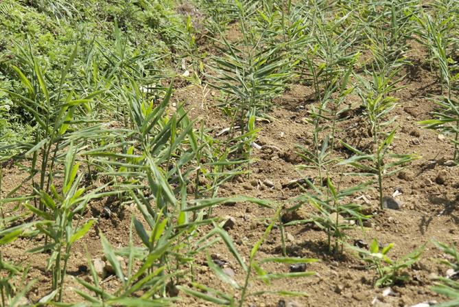 �������������������̶��300Ķ������������