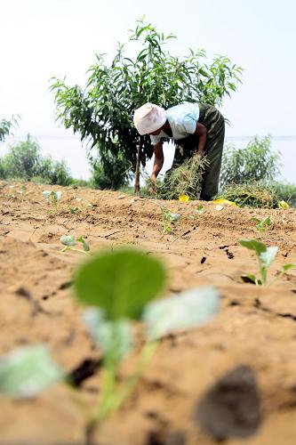 821գɽʡĳƽؼկǰũڵݡ