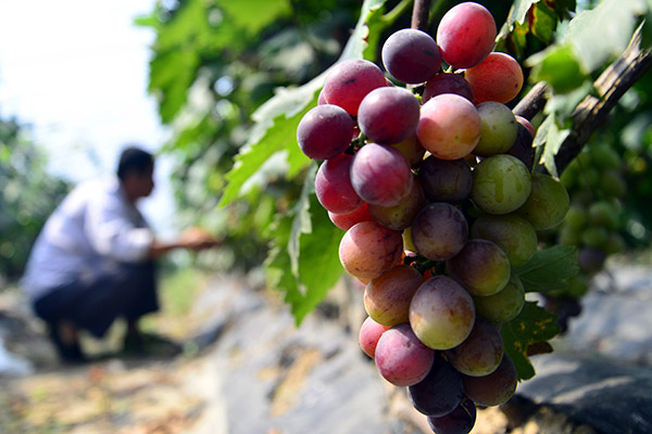 823գɽʡĳƽؼկׯũڲ鿴ѵĳ