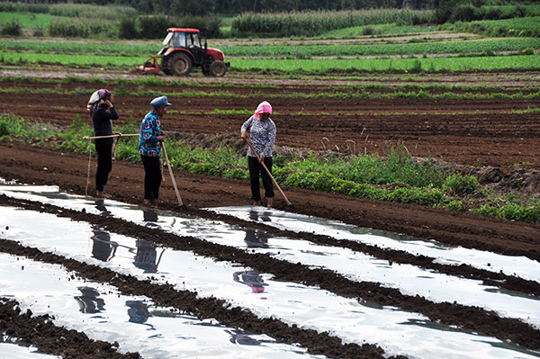 823գũڹʡ߲ʾõĤˮֲܲ