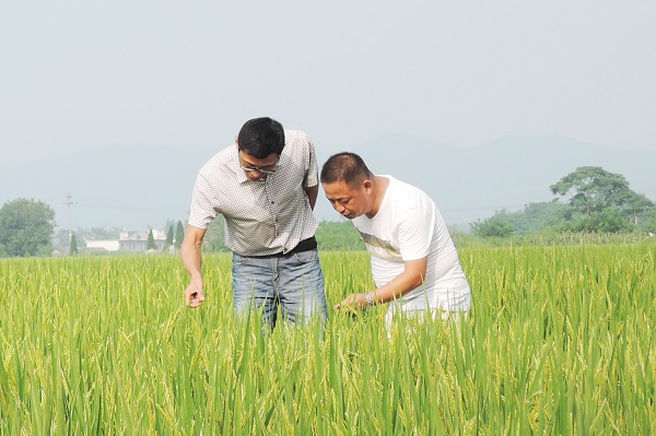 ���շʶ��أ��߲�����ָ��æ