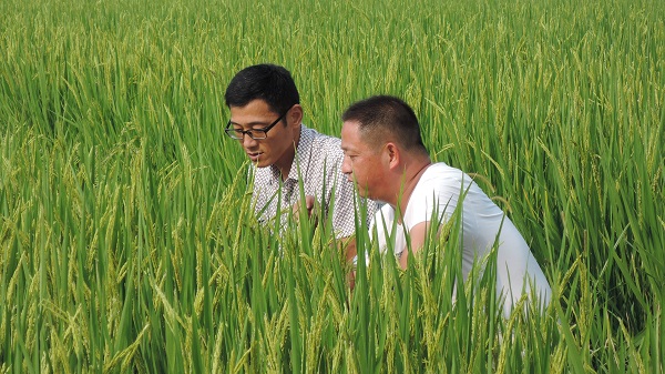 ���շʶ��أ��߲�����ָ��æ2