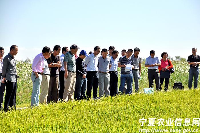 宁夏召开全区农机化示范园区现场观摩培训会
