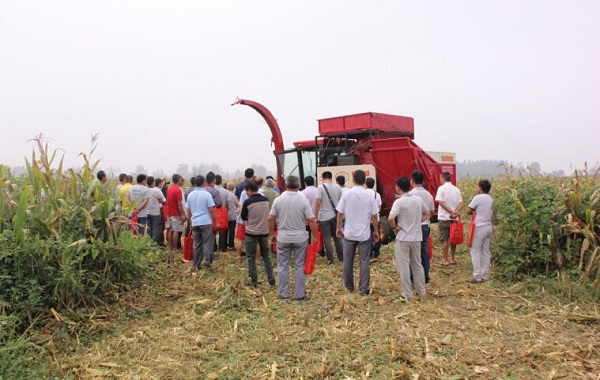 ���ո����Ȫ�����С�������+��ҵ�� ����ũ���ƹ�ģʽ