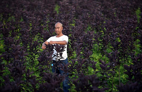 �ӱ����ݣ�С���硰�����ɴ��ҵ