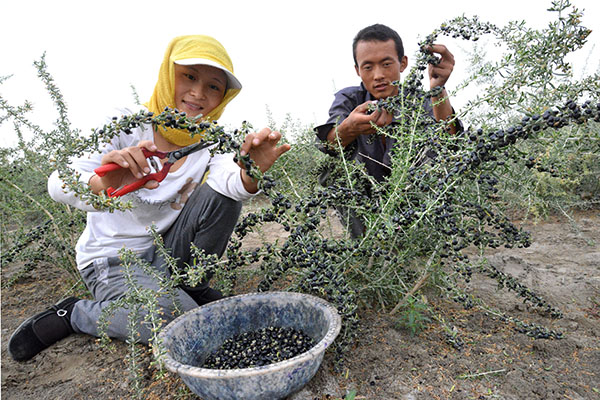 827գ½ŵڶʦʮũμժ轡