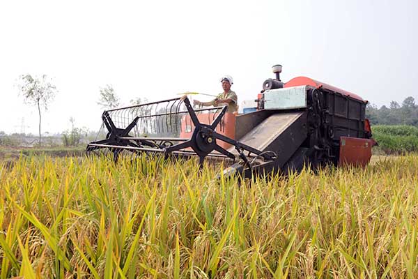 827գʡйȳشĺũʻũոе