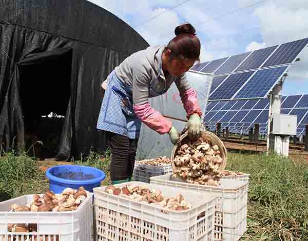 ӱʳþ֮硰һáչũҵ