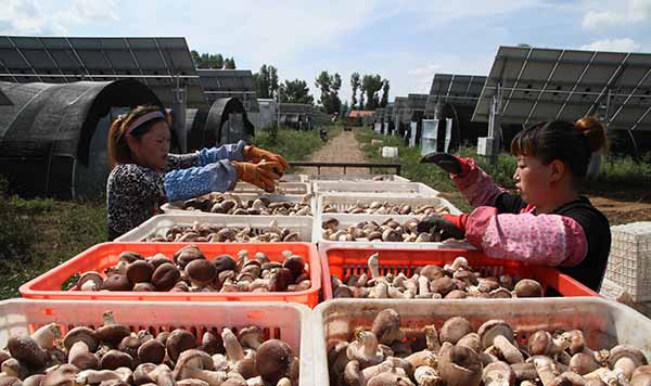 827գںӱʡеƽȪػʩũҵʳþƶ԰ڣũ㹽װ䡣