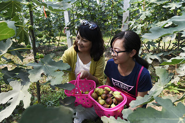 830գοɽʡƽ̨޻ֲ԰ڲժ޻