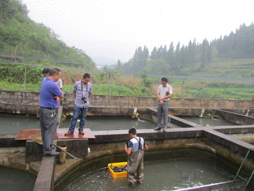 �����ɽ����ֳҵ�������������й���Ա����¡������ˮ��ֳ