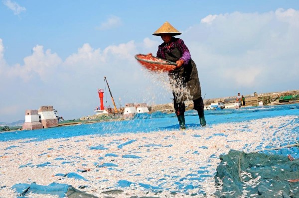 �������Ƹ��У�ϺƤ����������