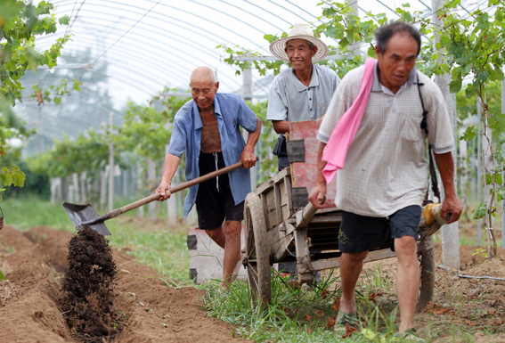 ���ջ�������ʩũ�ҷ����걣����