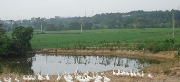 ���ջ�����������ͥũ��ʵ����̬��������ѭ��