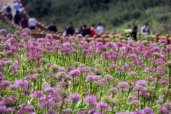 96գοڹݾ²ƺҰ²˻