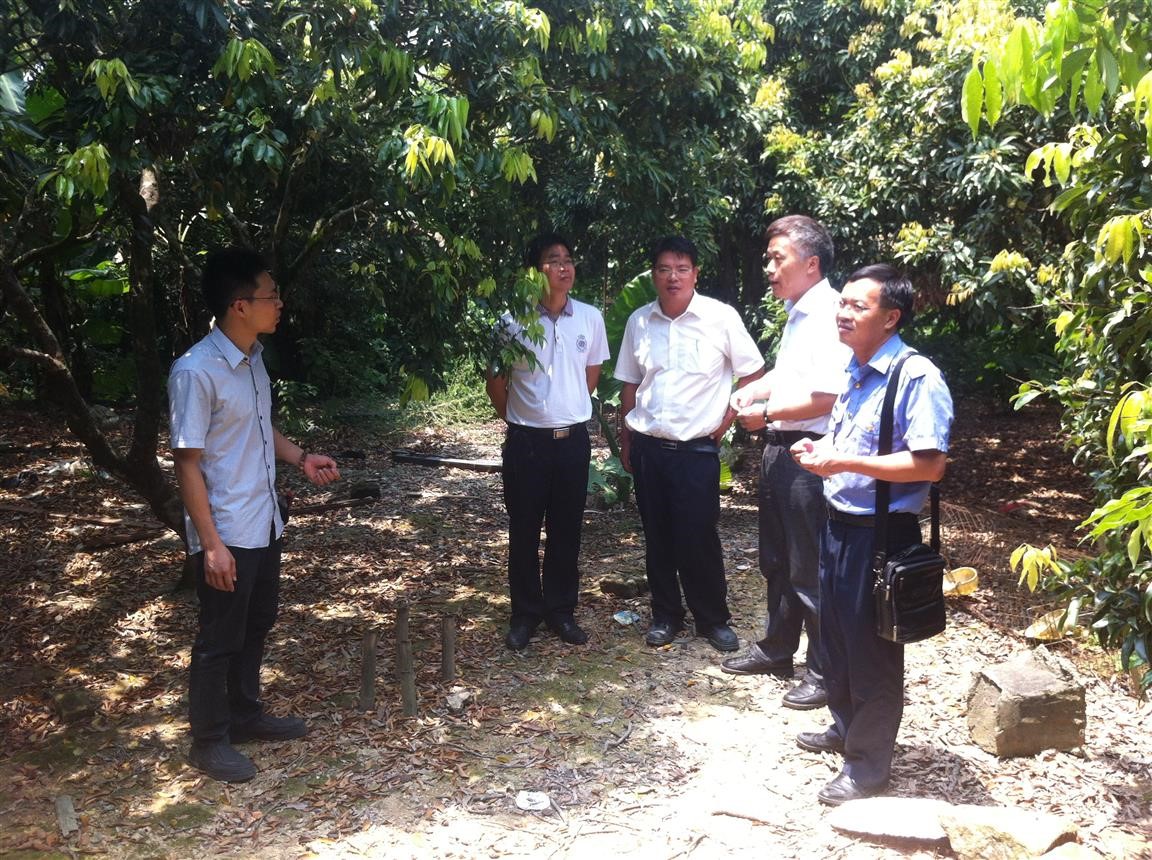 㶫ʡũԺֲרҵָ֦ι