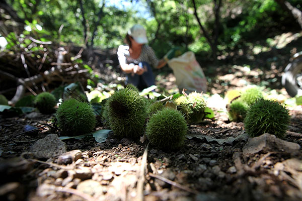 9��6�գ��ںӱ�ʡ��¡�ع�ɽ�Ӵ壬�������ջ����������