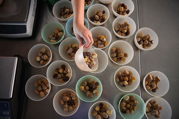 9��6�գ��ӱ�ʡ��¡��һ�Ұ����ӹ���ҵ�Ĺ����ڼ�ʳ�����������Ϲ�����