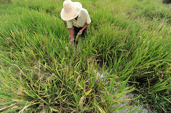 �������̵�Ķ������ ��ֲ�����½�