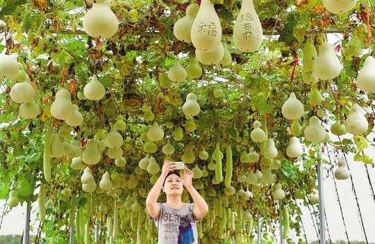 øũ 㽭ũַչ۲֮һ