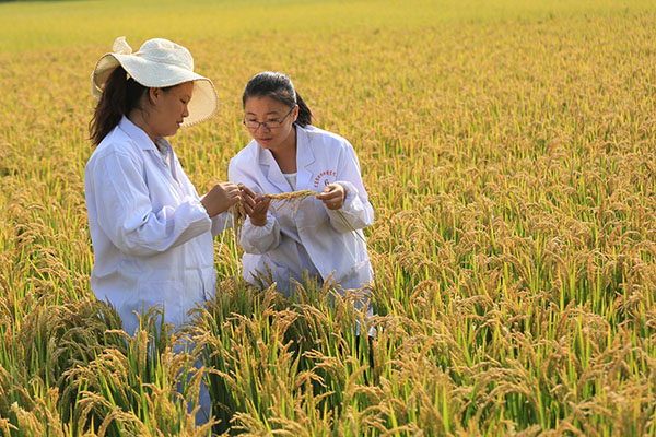 9��7�գ���λ�����������������еĴ����к������ֻ��أ�����ũ��Ա�ڲ鿴������4�š�����ˮ���ĳ��ơ�