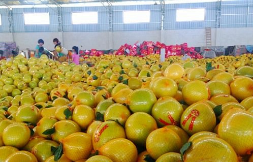 㶫÷ݣҵ+гѹֲҵϴ