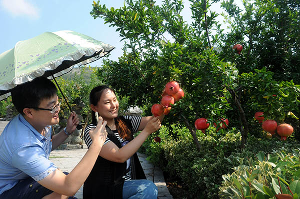 ɽ����ׯ��ʯ�񽥺����ο�