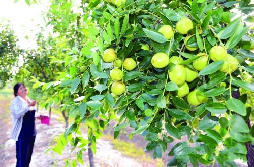 9��7�գ�����Ǩ�������س�����Ǳ��壬��ũ���ڽ�������������