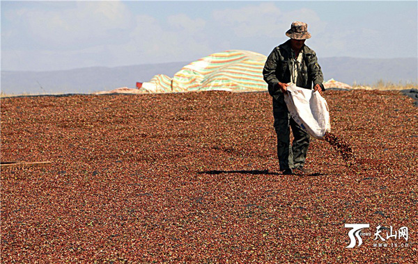 �½����ͺ��أ���ɫ����Ұ ���յ�ϲ��