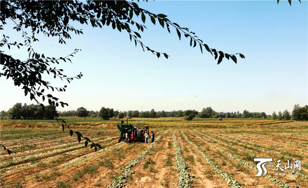 �½����ͺ��أ���ɫ����Ұ ���յ�ϲ��3