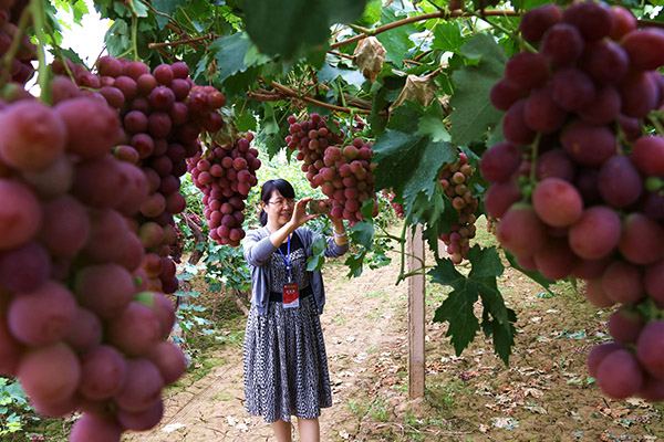 ����ػ�16��Ķ���ѿ�԰����