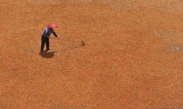 98գ㽭ʡٰеʯʯũɹջɽҡ