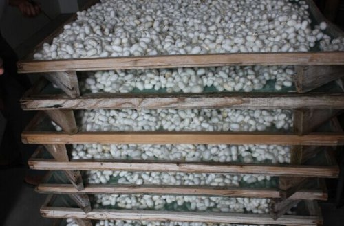 �����綫������ȫ���˹���������ʾ��Բ������