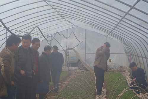 ͼΪ߲˰ϵũҵվչ䷽ʩʡʩũҷʵ