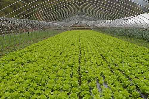 ͼΪ̫߲רҵнĴ߲һ