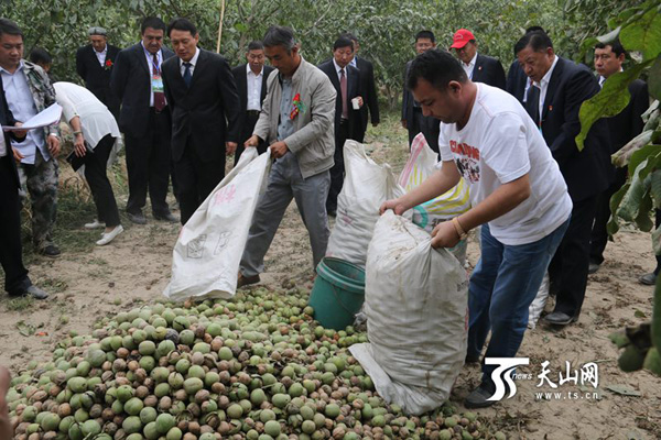 Ҳժں״Ԫʾ԰ڸժµʺ