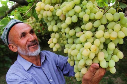 97գͼʲа簢˴¶ѷڿѵĳ