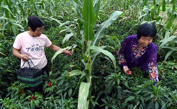 9��10�գ��ӱ�ʡ�ȷ��������ر������綫�����ũ�����ջ�С������