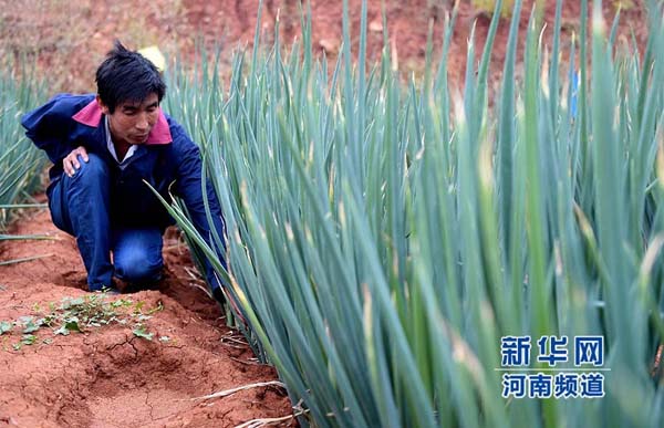 ���ϼ�Դ������ֳ��¸�·