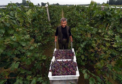 �ӱ����壺С���Ѵ���ũ��������ҵ