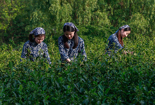 910գʡ̳ѦһҶֲصĹԱڲ衣