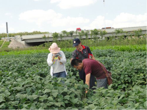 ������ͨ�����ӹ���վ�μ����������ſ����Ĵ󶹡��޻����鹤��